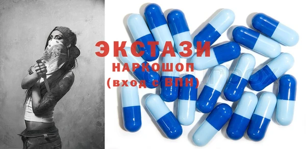 прущие грибы Туринск