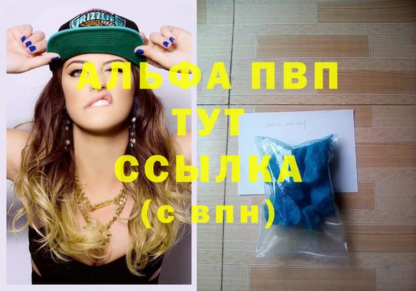 гашик Зерноград