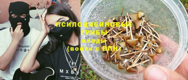 гашик Зерноград