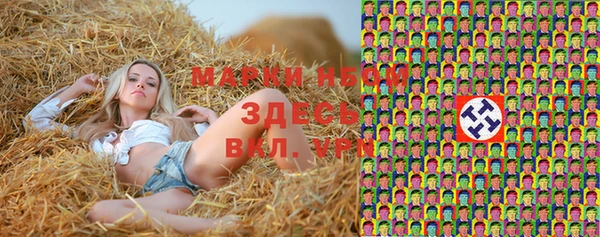 гидра Зеленокумск