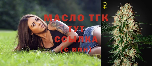 гидра Зеленокумск