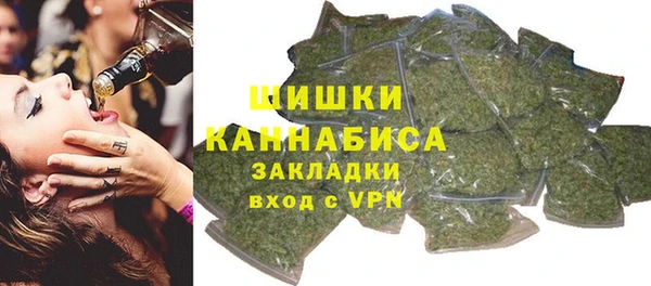 гидра Зеленокумск