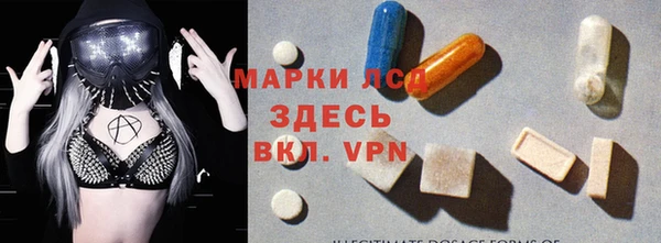 гашик Зерноград