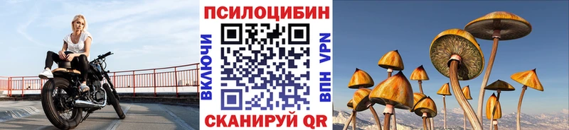Псилоцибиновые грибы Magic Shrooms  продажа наркотиков  omg как войти  Вельск 